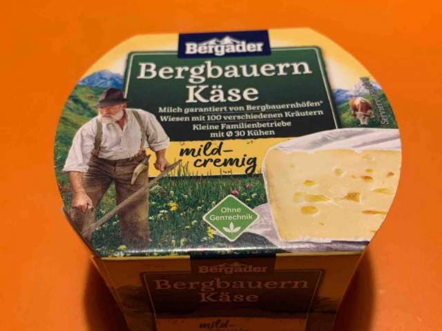 Bergbauern Käse von LachDa | Uploaded by: LachDa