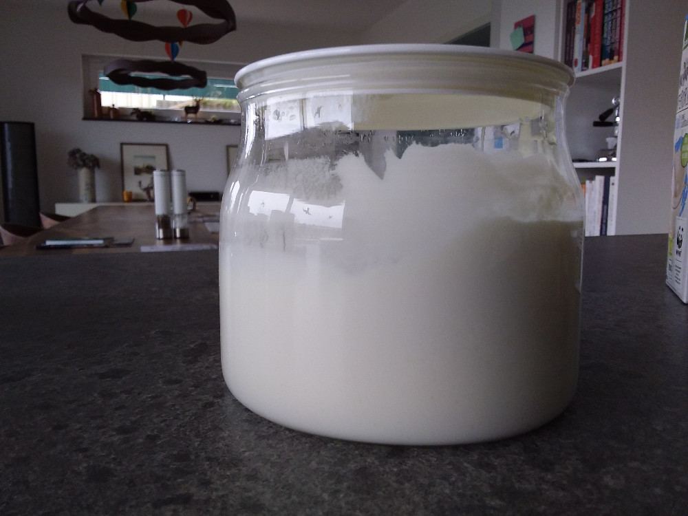 Naturjoghurt 3,8 % Durchschnitt von ely1957 | Hochgeladen von: ely1957