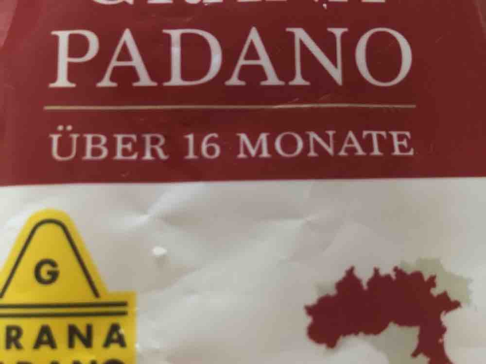 Parmesan, über 16 Monate gereift von RamRam | Hochgeladen von: RamRam