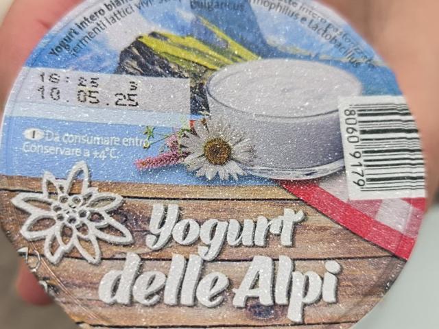 Yogurt delle Alpi von Simone130570 | Hochgeladen von: Simone130570 Yogurt delle Alpi von Simone130570 | Hochgeladen von: Simone130570