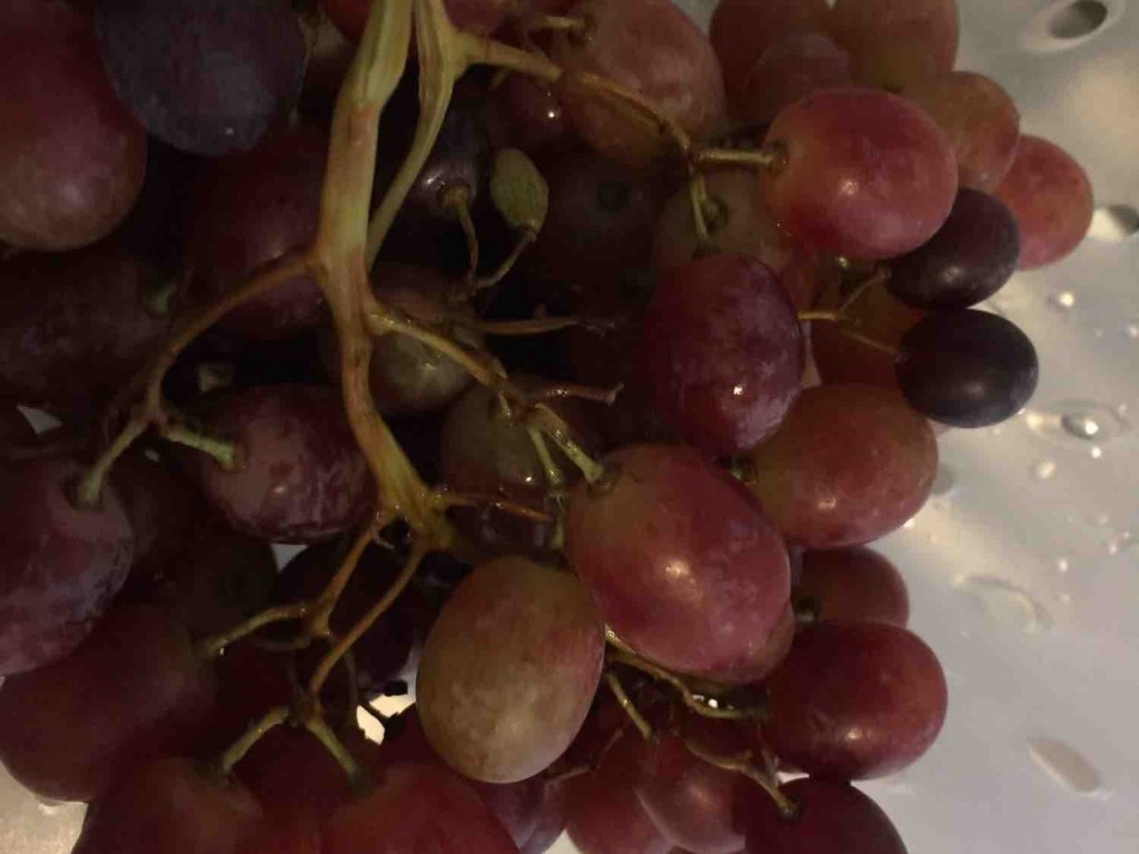 Rote Weintrauben, kernlos von markgraf70 | Hochgeladen von: markgraf70