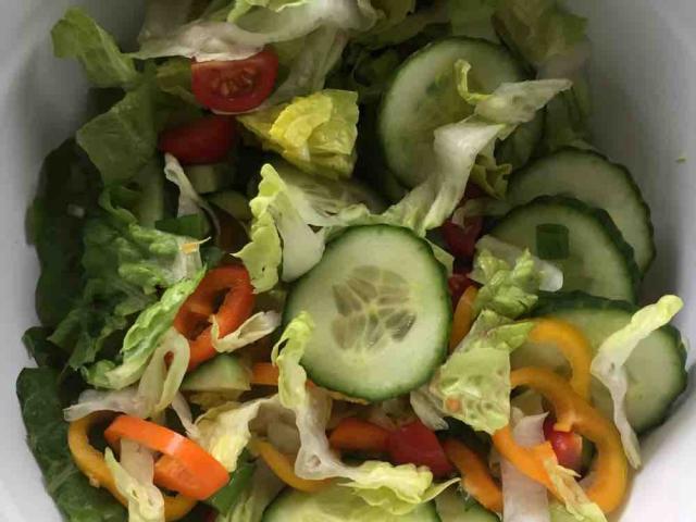 Gemischter Salat ohne Dressing von Noer | Hochgeladen von: Noer