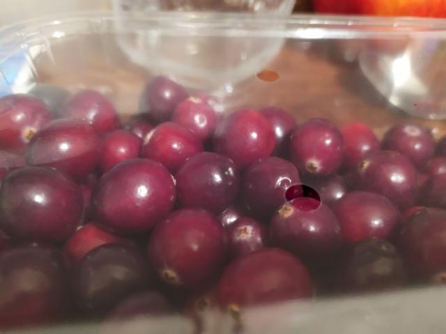 Cranberries (frisch) von juliafasshauer | Hochgeladen von: juliafasshauer