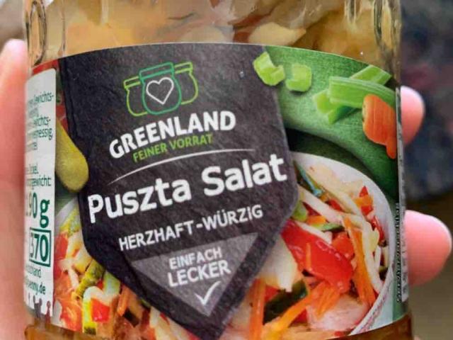 Puszta Salat, herzhaft würzig von Gipsy89 | Hochgeladen von: Gipsy89