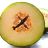 Cantaloupe-Melone | Uploaded by: JuliFisch