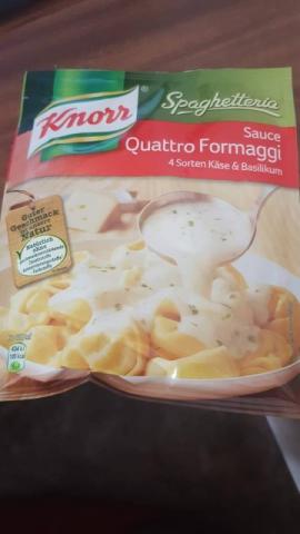 Sauce Quattro Formaggi, 4 Sorten Käse & Basilikum | Hochgeladen von: jasmintogrulca276