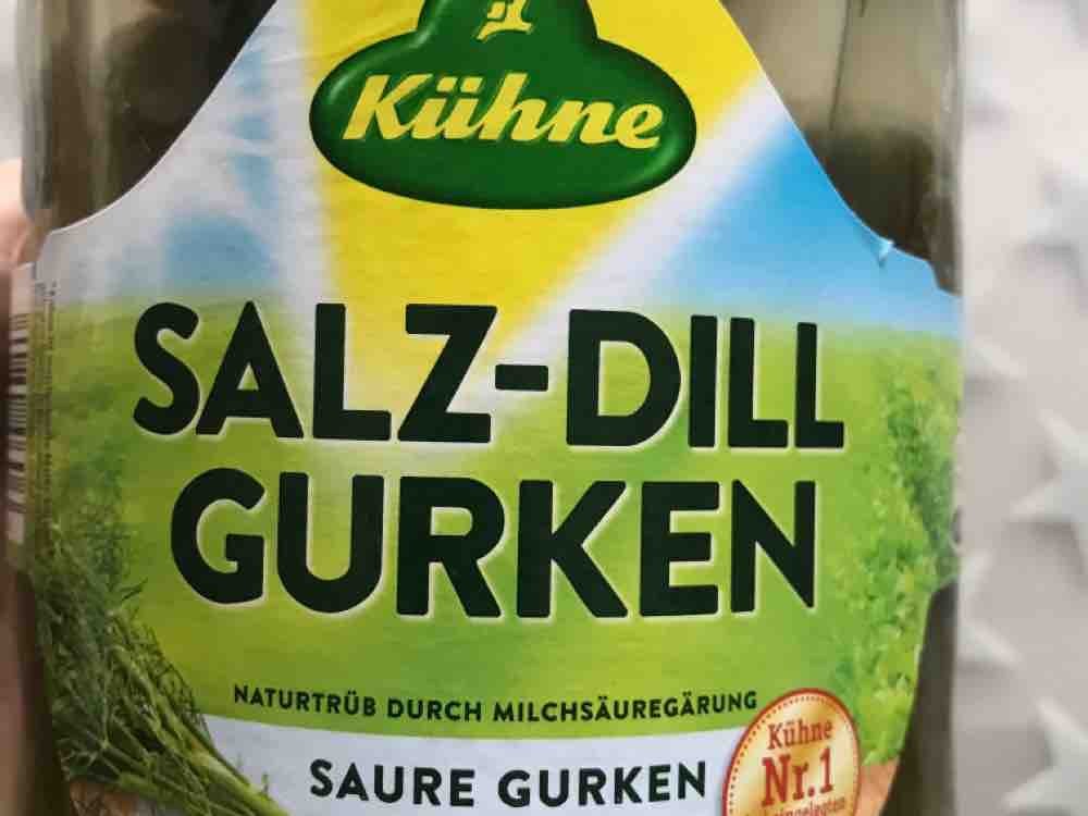 Salz-Dill Gurken ohne Zuckerzusatz von claraess | Hochgeladen von: claraess