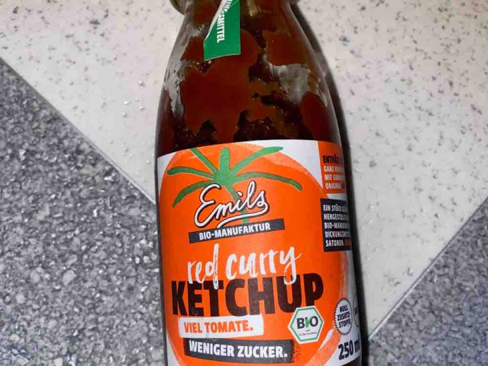 Red Curry Ketchup, ohne Rohrzucker von RappelZappel | Hochgeladen von: RappelZappel