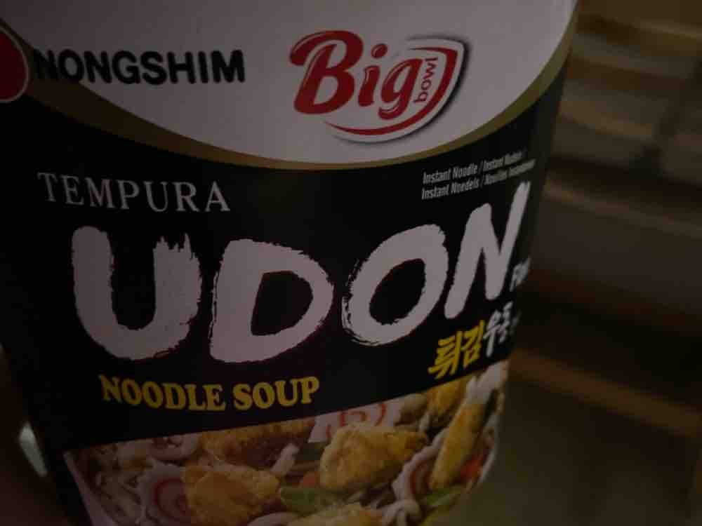 Noodle Soup Tempura Udon Flavour Big Bowl von claudizweipunktnul | Hochgeladen von: claudizweipunktnull