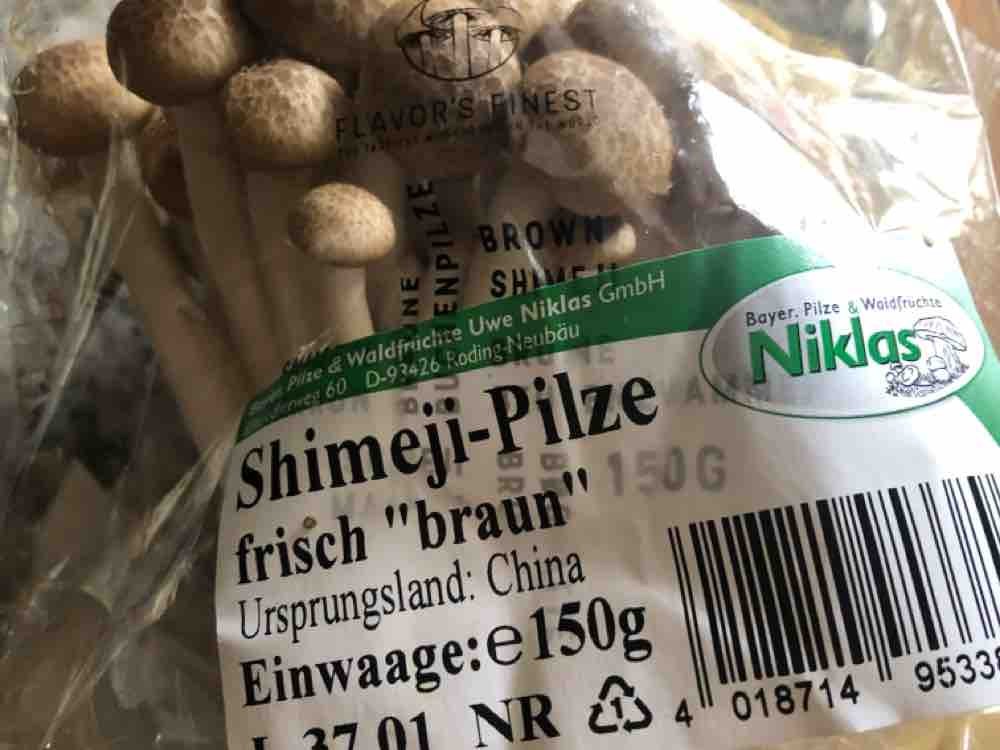 Shimeji-Pilz, frisch braun von zohr | Hochgeladen von: zohr