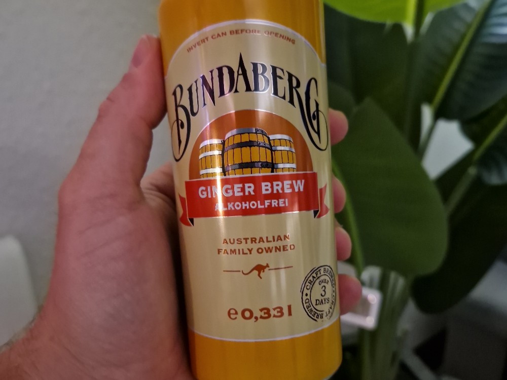 Ginger Brew, Alkoholfrei von sebastianzander | Hochgeladen von: sebastianzander Ginger Brew, Alkoholfrei von sebastianzander | Hochgeladen von: sebastianzander