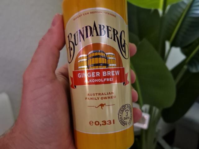 Ginger Brew, Alkoholfrei von sebastianzander | Hochgeladen von: sebastianzander Ginger Brew, Alkoholfrei von sebastianzander | Hochgeladen von: sebastianzander