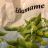 Edamame von leonhennig | Hochgeladen von: leonhennig