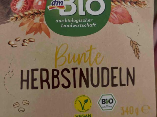 bunte Herbstnudeln ungekocht von Violchen | Hochgeladen von: Violchen