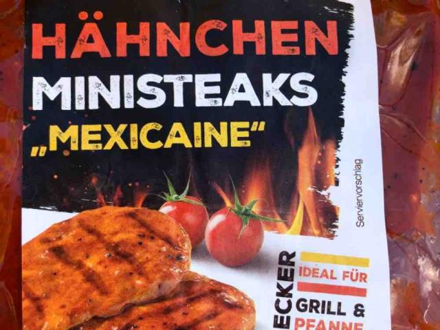 Hähnchen ministeaks mexicaine von ingo112 | Hochgeladen von: ingo112