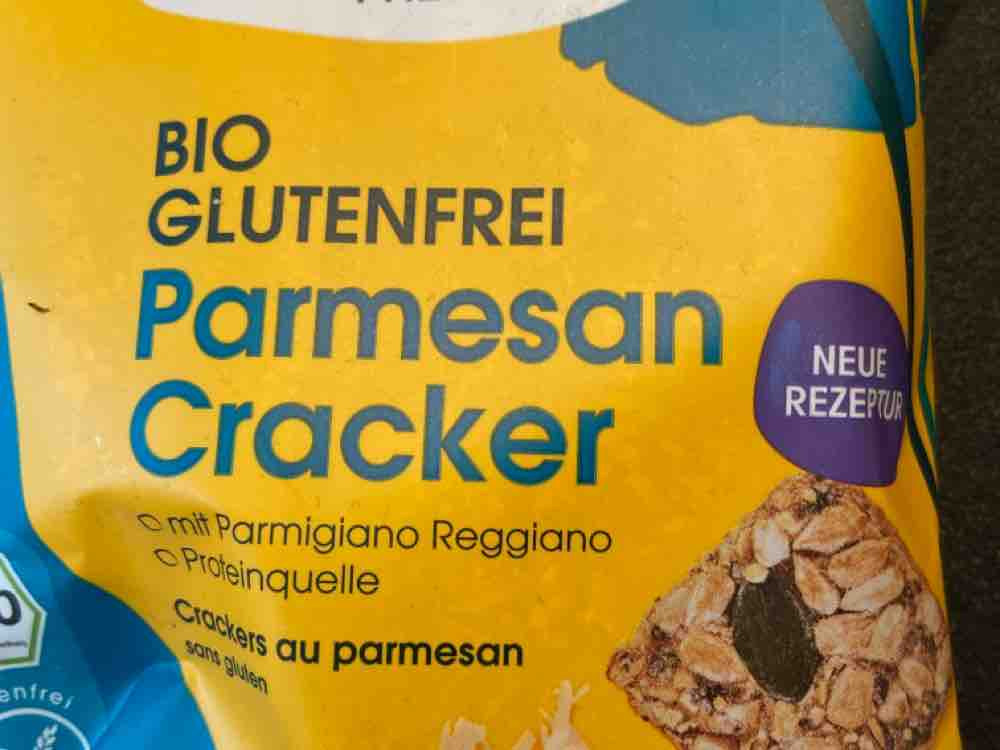 Bio Parmesan Cracker, mit Hanf  von joha | Hochgeladen von: joha