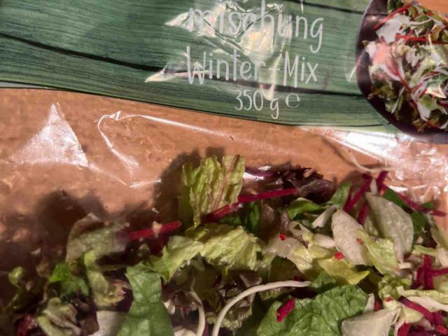 Salat-mischung Winter-Mix von Deltasun45 | Hochgeladen von: Deltasun45