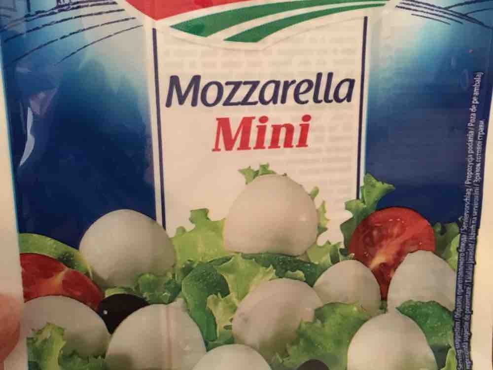Mozzarella, 20 Minis von modape625 | Hochgeladen von: modape625
