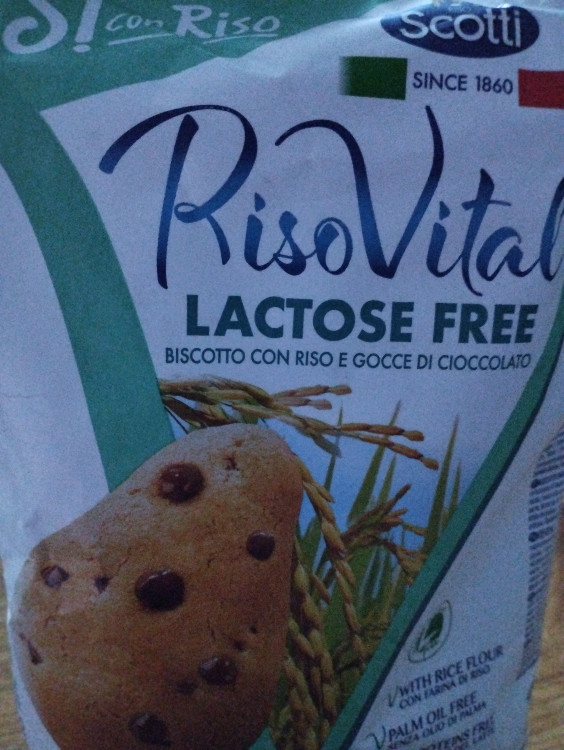 Biscotto cioccolato, con Riso senza lattosio von caansta | Hochgeladen von: caansta
