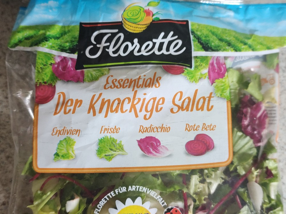 Essentials Der Knackinge Salat by Atzin | Hochgeladen von: Atzin Essentials Der Knackinge Salat by Atzin | Hochgeladen von: Atzin