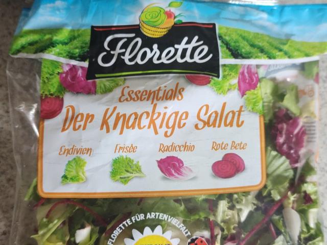 Essentials Der Knackinge Salat by Atzin | Hochgeladen von: Atzin Essentials Der Knackinge Salat by Atzin | Hochgeladen von: Atzin