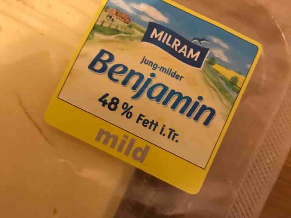 Benjamin, Deutscher Schnittkäse (48% Fett) von MarshallRavestarr | Hochgeladen von: MarshallRavestarr