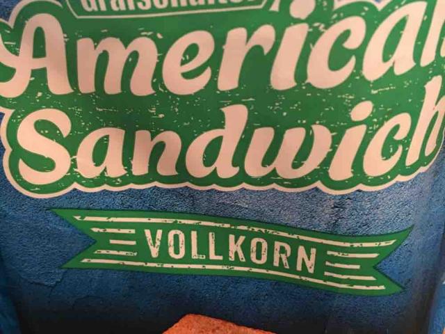 American Sandwich , Vollkorn  von Feuertier | Hochgeladen von: Feuertier