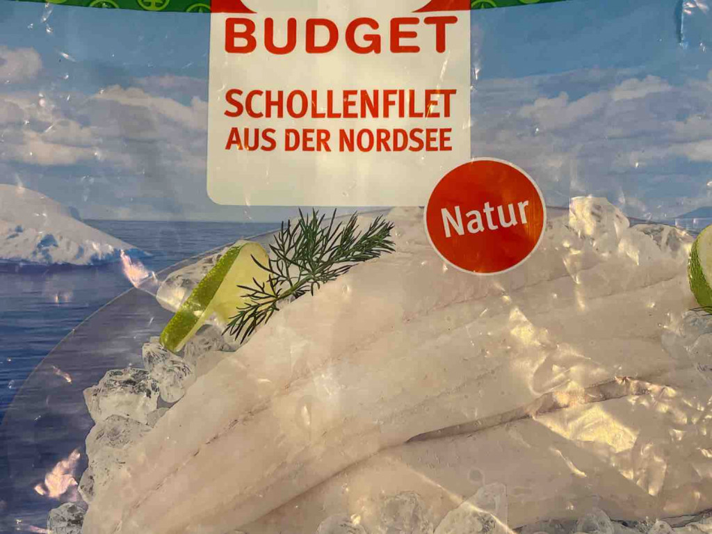 schollenfilet, aus der nordsee von wastl2919 | Hochgeladen von: wastl2919