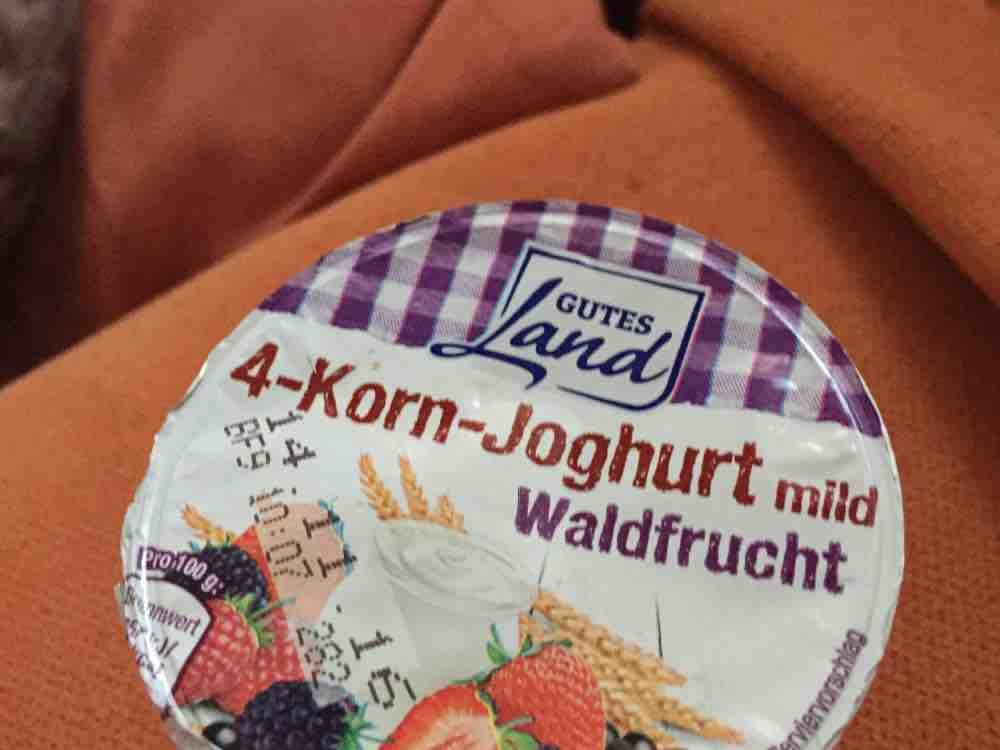 4-Korn-Joghurt mild, Gutes Land, Waldfrucht von maheli | Hochgeladen von: maheli