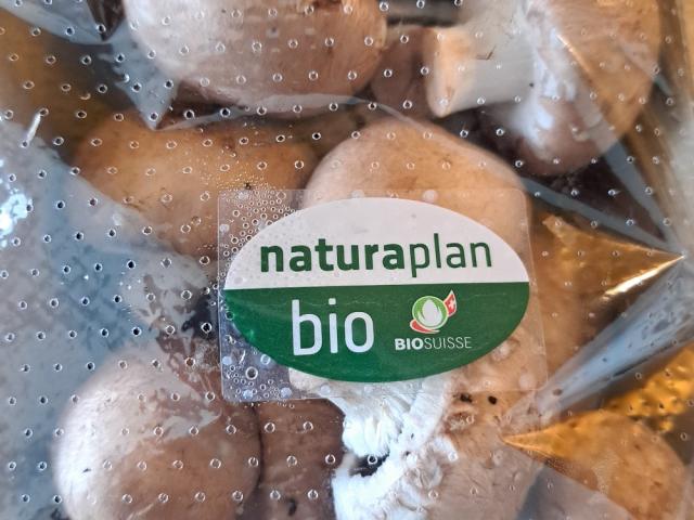 Hochgeladen von: Sweetmary0577