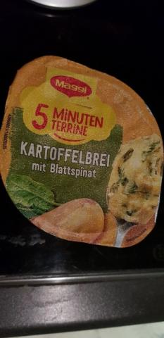 5 Minuten Terrine, Kartoffelbrei mit Blattspinat von brittadzion | Hochgeladen von: brittadzionsko723