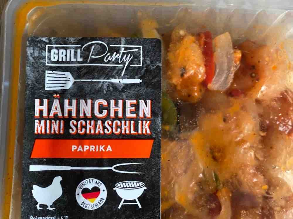 Hähnchen Mini Schaschlik Paprika von jamesxo | Hochgeladen von: jamesxo