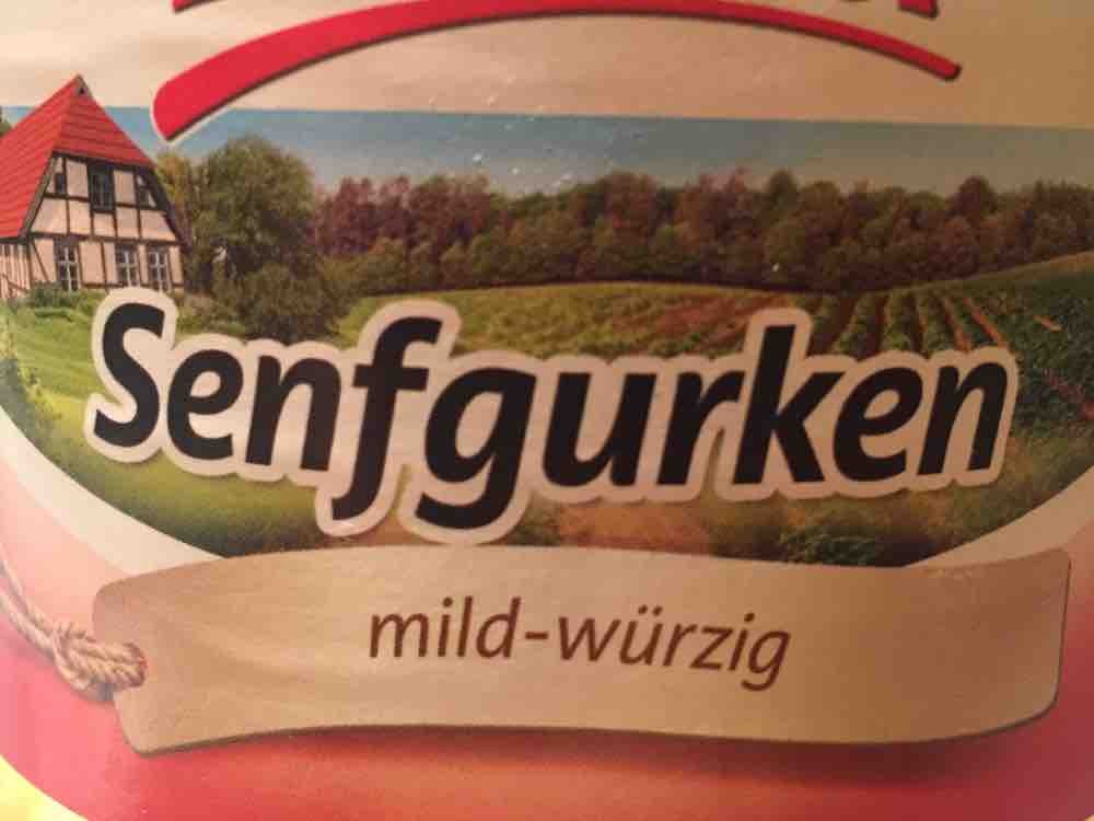 Senfgurken Bautzner, mild würzig von s15evo363 | Hochgeladen von: s15evo363