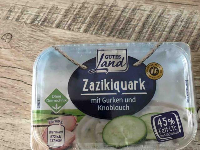 Zazikiquark mit Gurke und Knoblauch von stina.s. | Hochgeladen von: stina.s.