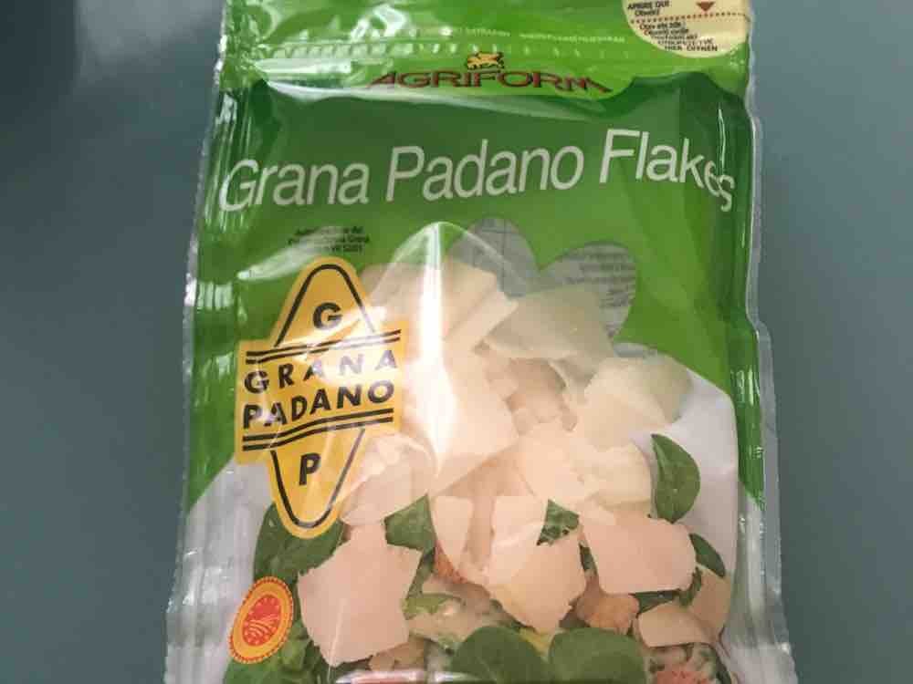 Grana Padano Flakes von mariamasha5 | Hochgeladen von: mariamasha5