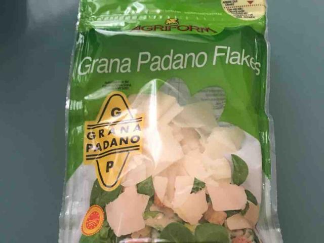 Grana Padano Flakes von mariamasha5 | Hochgeladen von: mariamasha5