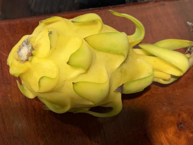 Hochgeladen von: ipf