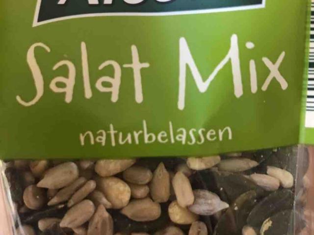 Alesto Salatmix von siebenschoen | Hochgeladen von: siebenschoen