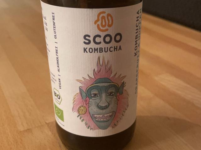 Kombucha, Grapefruit & Hopfn von schachfeld | Uploaded by: schachfeld