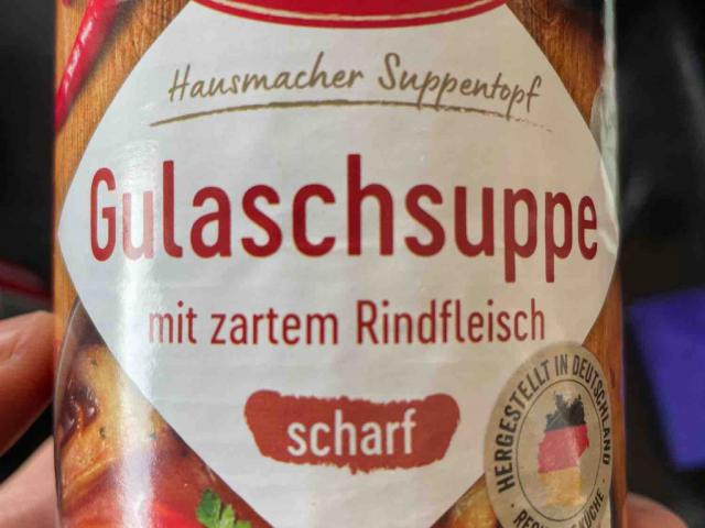 Gulaschsuppe, scharf von Brixe | Hochgeladen von: Brixe