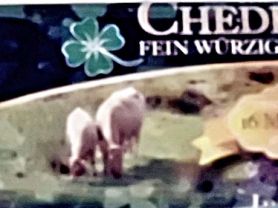 irischer Cheddar -Penny-, fein würzig | Hochgeladen von: dat Inge