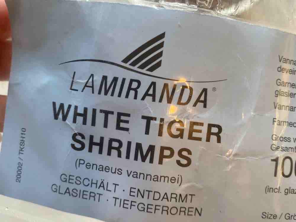 White Tiger Shrimps von nadjahanke | Hochgeladen von: nadjahanke