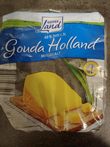 Gouda Holland, MITTELALT 48 % Fett i. Tr. von danielbarth125 | Hochgeladen von: danielbarth125