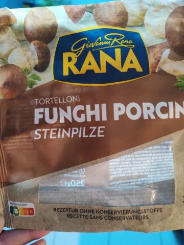 Tortelloni Funghi Porcini, Steinpilze von Binolek | Hochgeladen von: Binolek