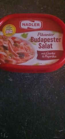 Budapester Salat, Mit Fleischbrät und Paprika von DEBE52 | Hochgeladen von: DEBE52