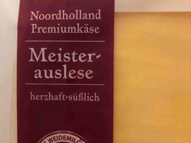 Noordholland Premiumkäse, 48% Fett i.Tr. von toby2002 | Hochgeladen von: toby2002