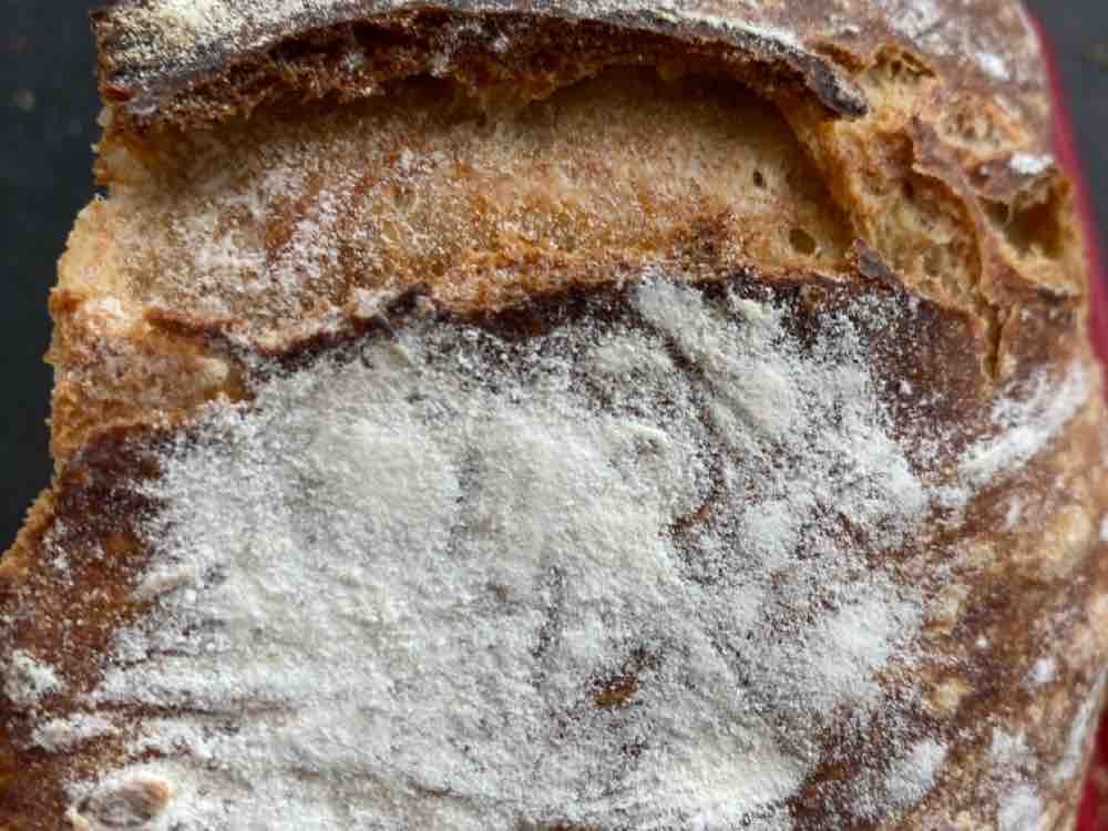 Dinkel-6-Korn-Brot, selbstgemacht von tigerblume | Hochgeladen von: tigerblume