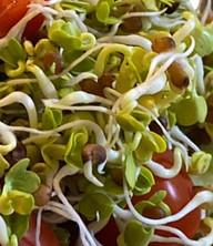 Hochgeladen von: dahnabraun