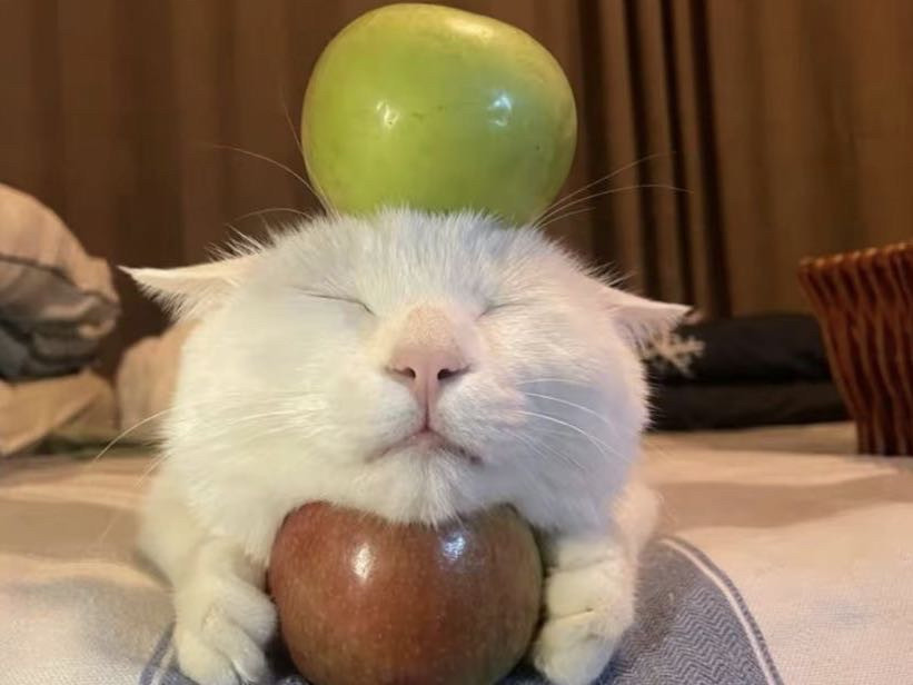 Hochgeladen von: chariee