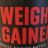 Power Weight Gainer, Schoko von BertMoeller | Hochgeladen von: BertMoeller